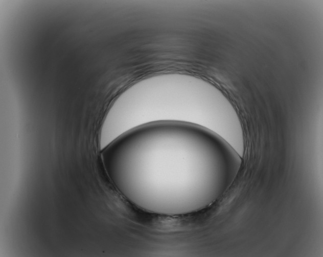 X0000088480325200705221006