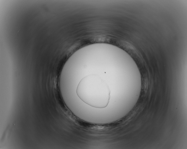 X0000088480326200705221006