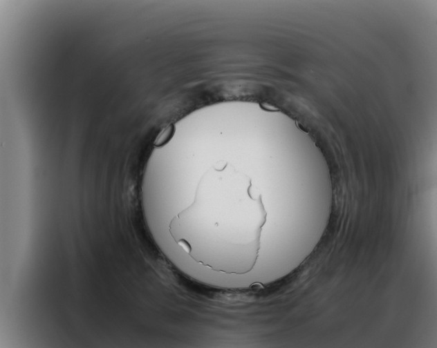 X0000088480327200705221006