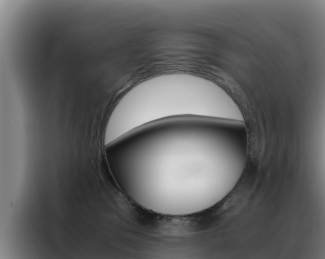 X0000088480329200705221006