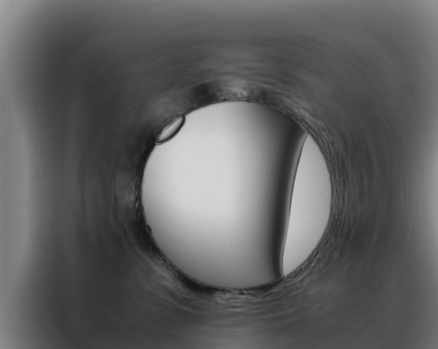 X0000088480331200705221006