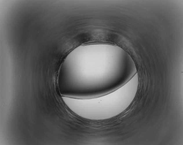 X0000088480333200705221006