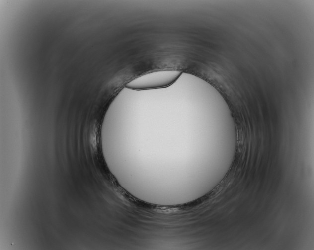 X0000088480334200705221006