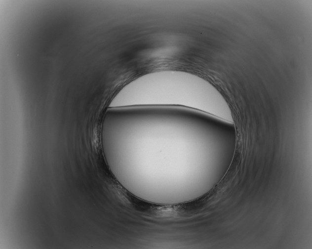 X0000088480335200705221006