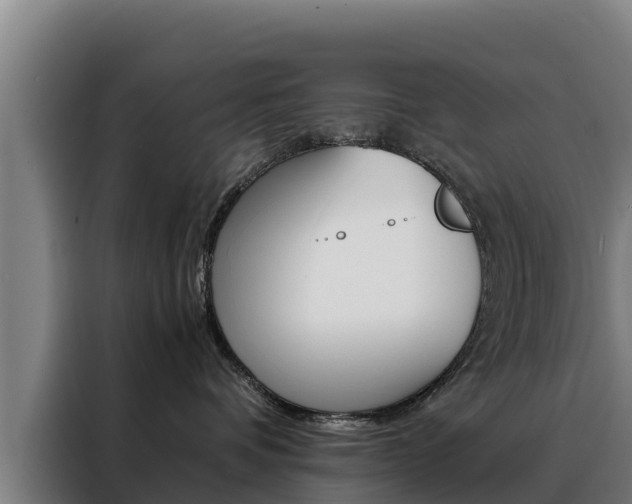 X0000088480336200705221006