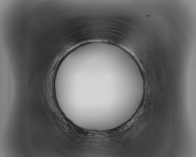 X0000088480337200705221005