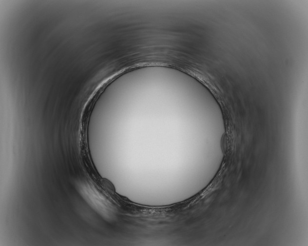 X0000088480338200705221005
