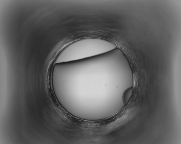 X0000088480339200705221005