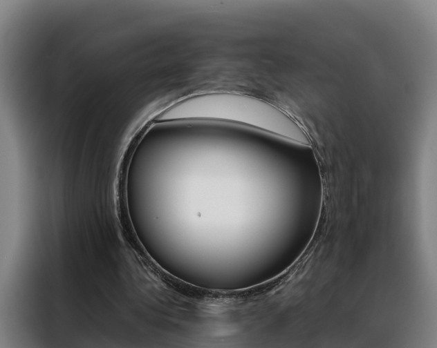 X0000088480340200705221005