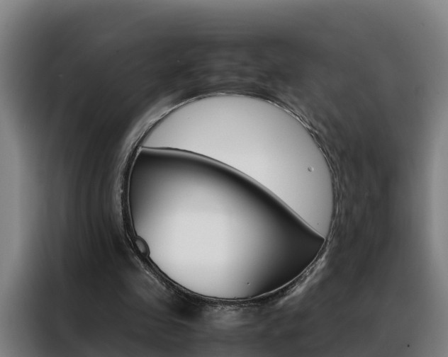 X0000088480341200705221005