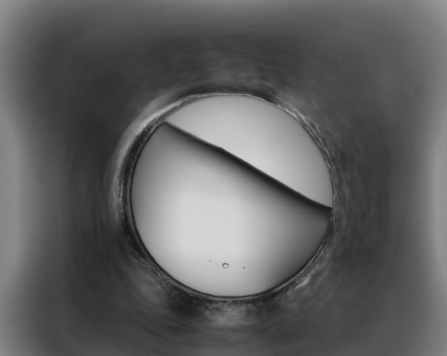 X0000088480343200705221005