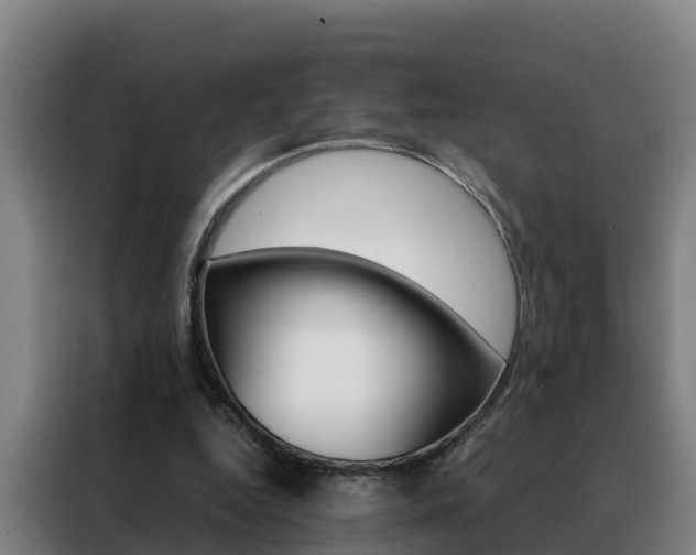 X0000088480344200705221005