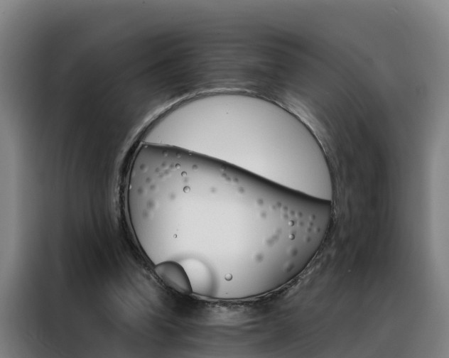 X0000088480346200705221006