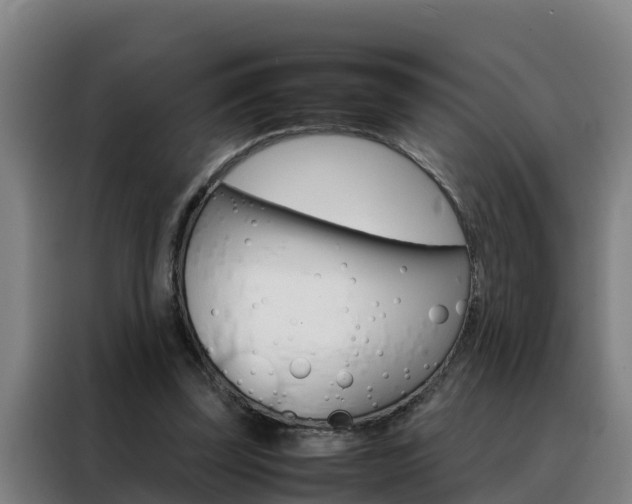 X0000088480347200705221006