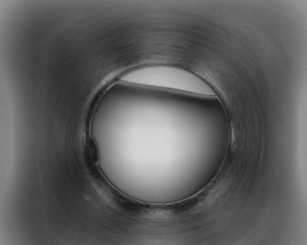 X0000088480348200705221006