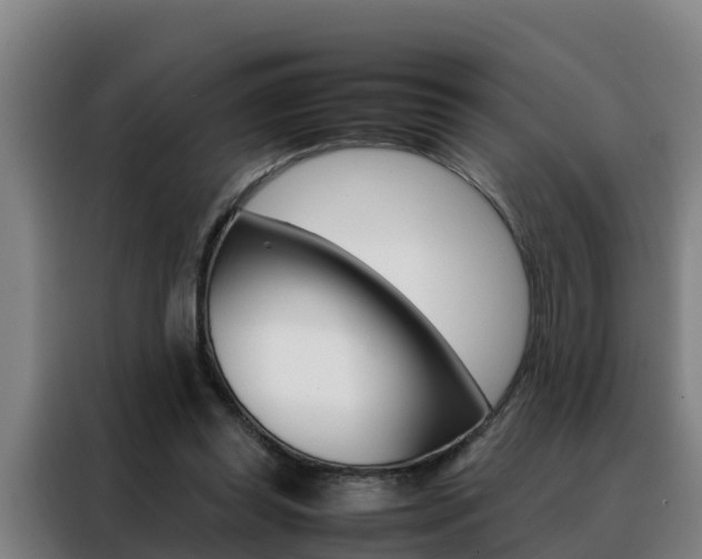 X0000088480349200705221006