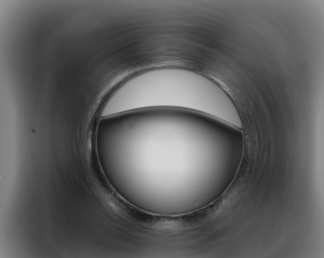 X0000088480350200705221006