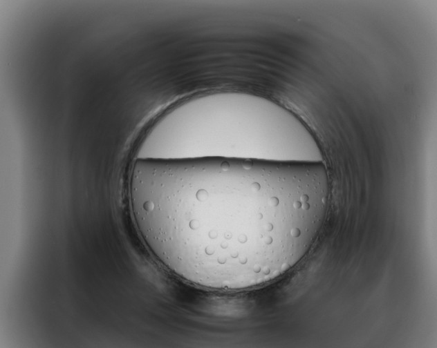 X0000088480351200705221006