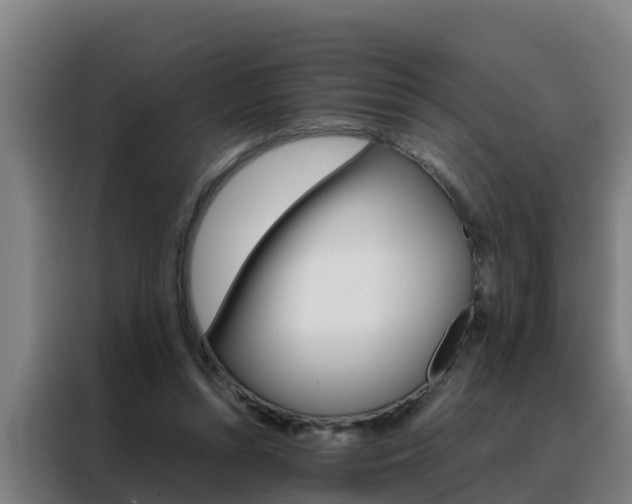X0000088480352200705221006