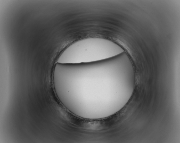 X0000088480353200705221006