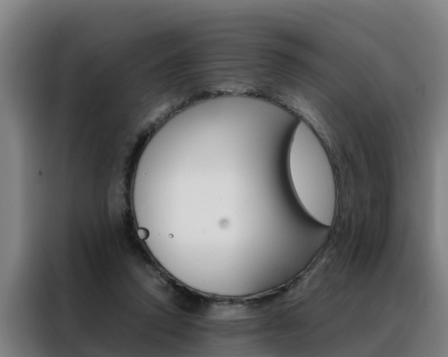 X0000088480354200705221006