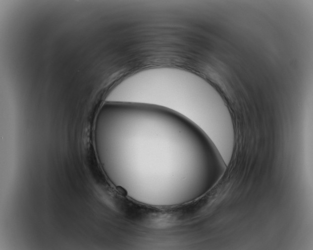 X0000088480356200705221006
