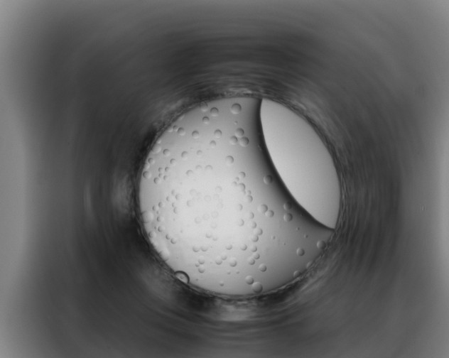 X0000088480359200705221006