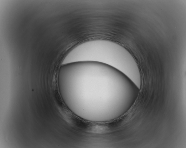 X0000088480360200705221006