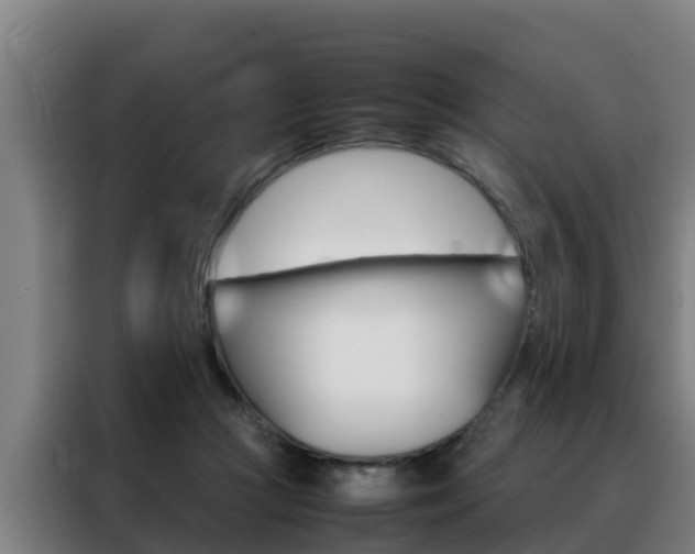 X0000088480361200705221006