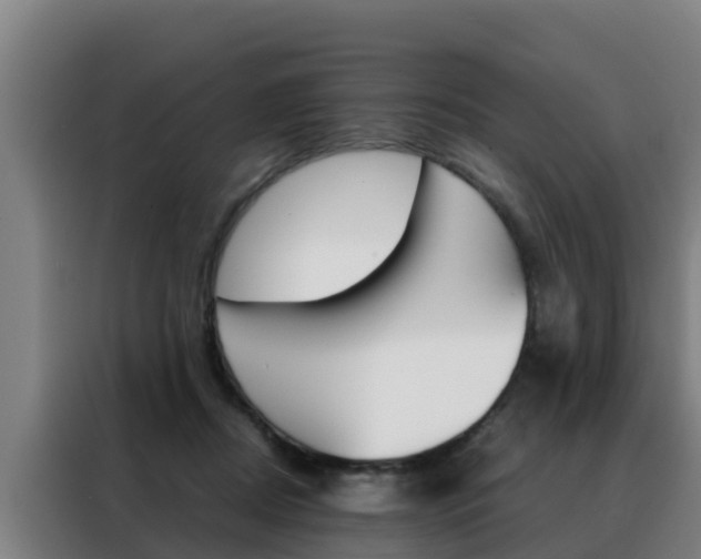 X0000088480362200705221006