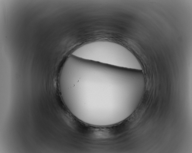 X0000088480363200705221006