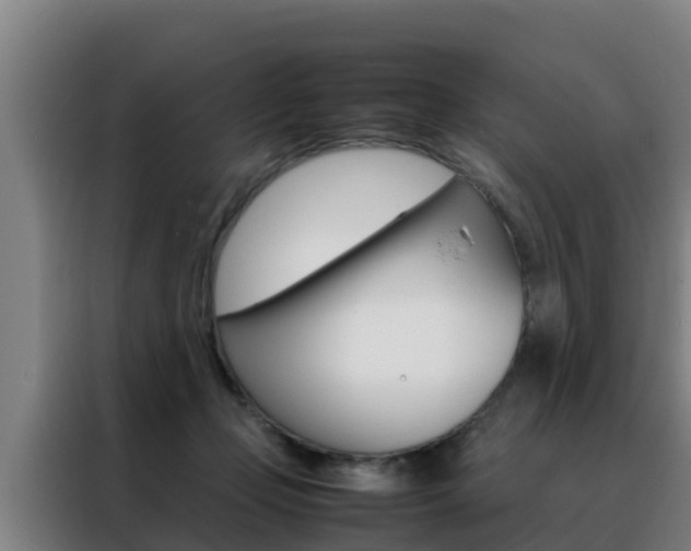 X0000088480365200705221006