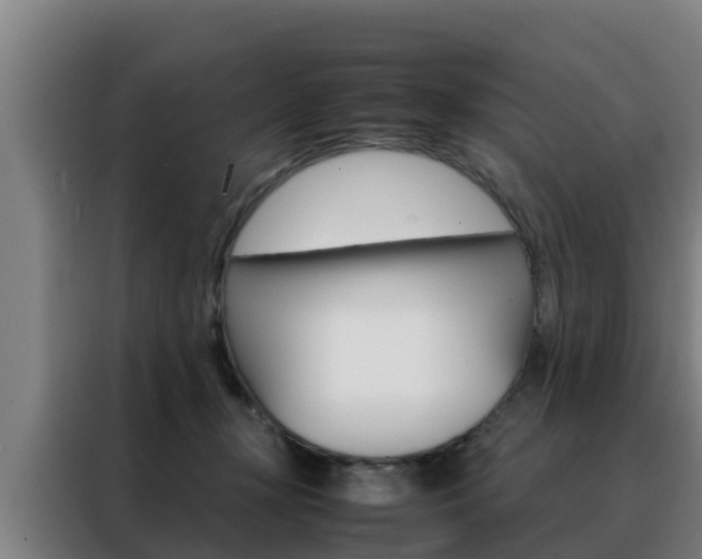 X0000088480367200705221006
