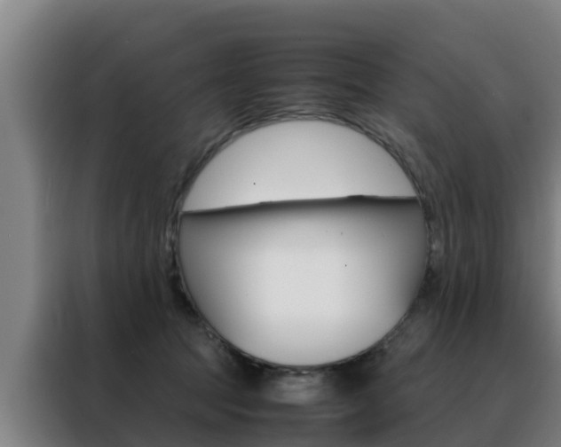 X0000088480369200705221006