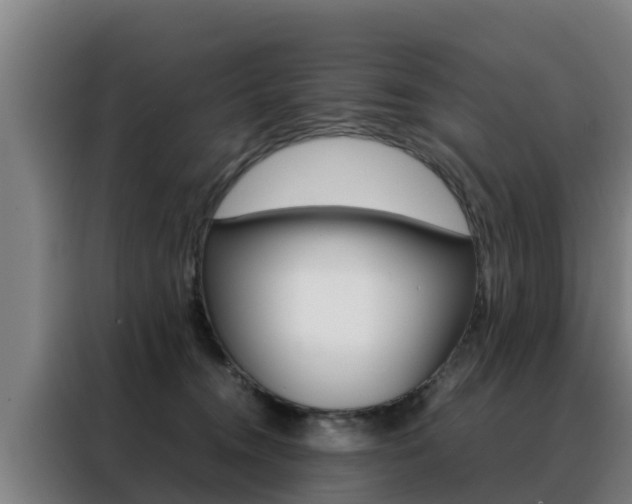 X0000088480372200705221006