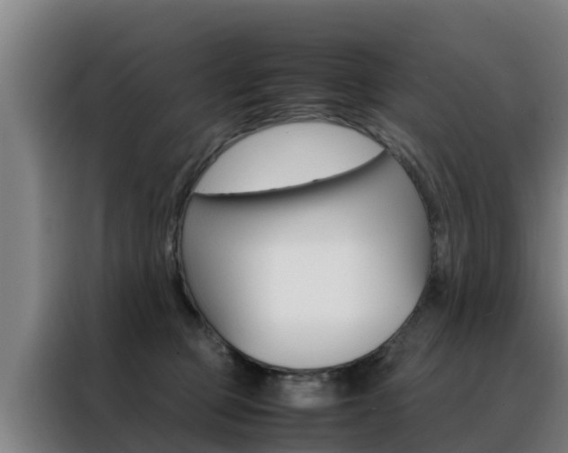 X0000088480373200705221006