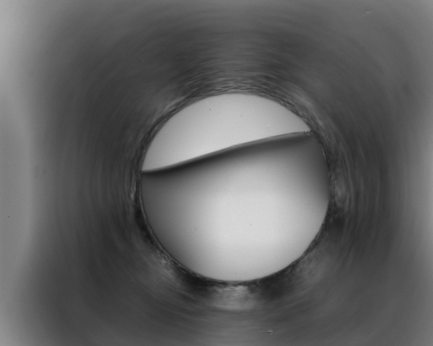 X0000088480374200705221006