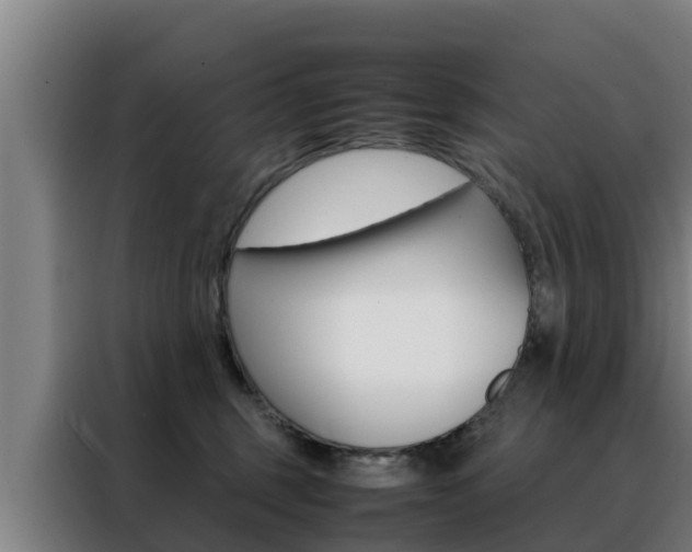 X0000088480375200705221006