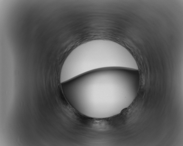 X0000088480376200705221006