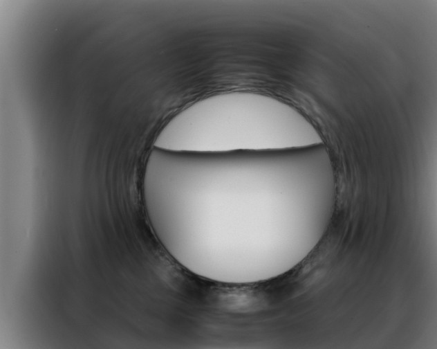 X0000088480377200705221006