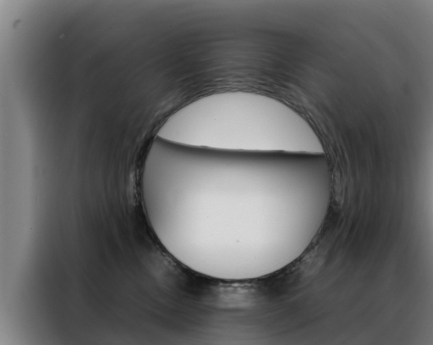 X0000088480378200705221006