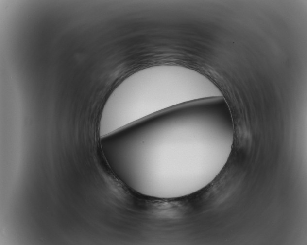 X0000088480379200705221006