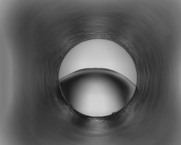 X0000088480380200705221006