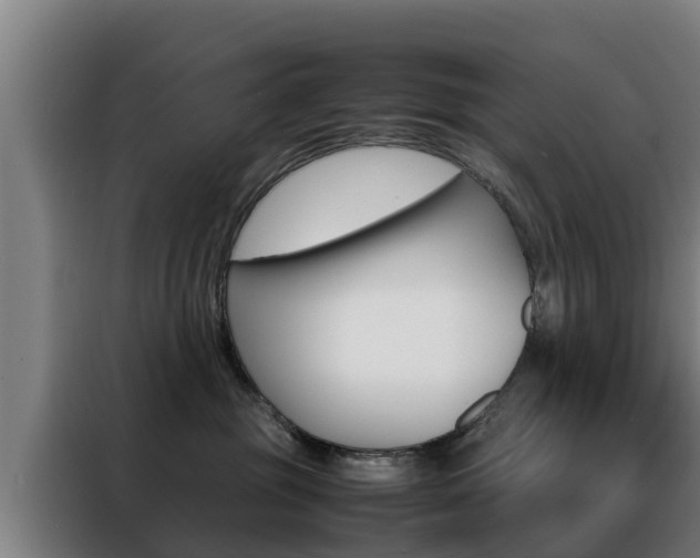 X0000088480381200705221006