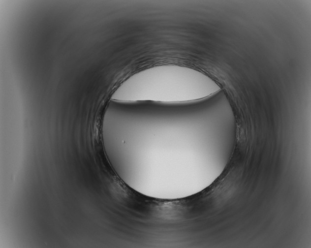 X0000088480382200705221006