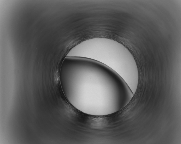 X0000088480383200705221006