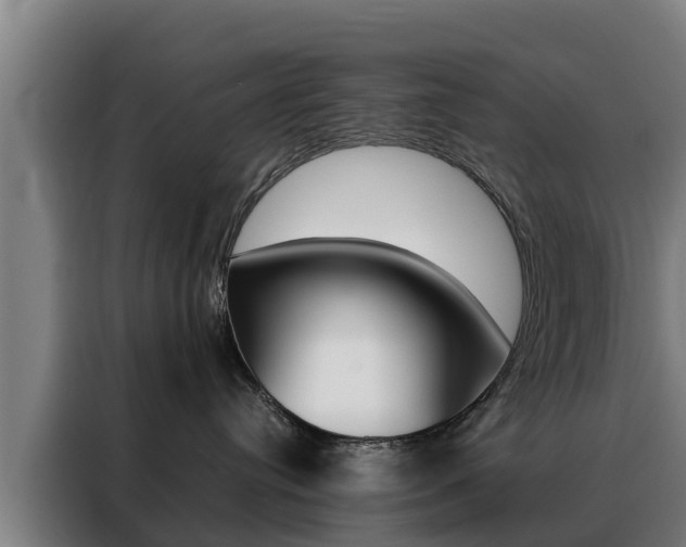 X0000088480384200705221006