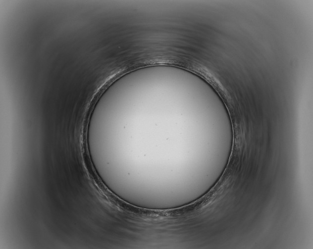 X0000088480386200705221005