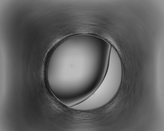 X0000088480387200705221005
