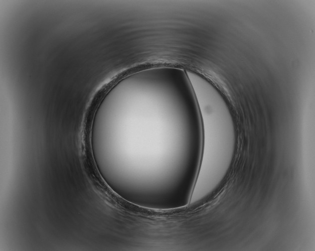 X0000088480388200705221005